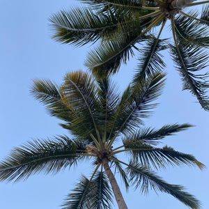 Meet your Posher, Émilie